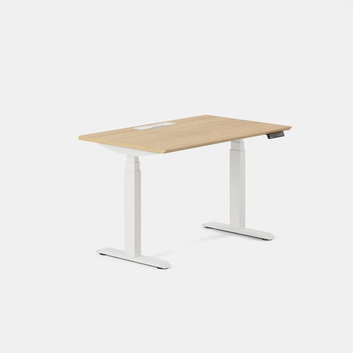 Branch Duo Standing Desk in a compact home office configuration.