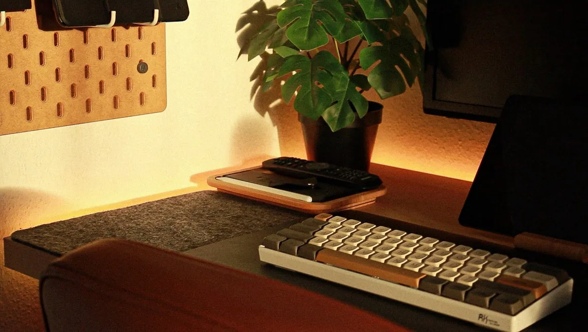 A tidy desk with a keyboard, mouse, and small plant on the work surface.