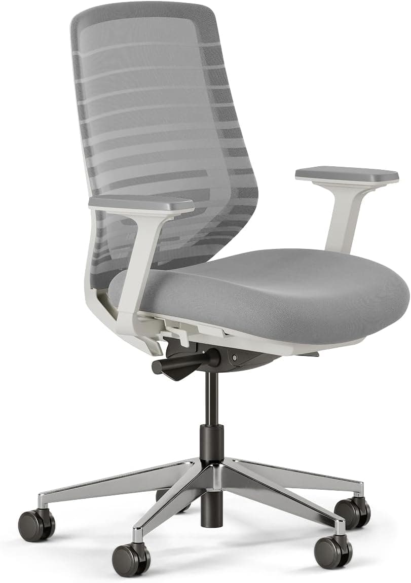 Branch Ergonomic Chair